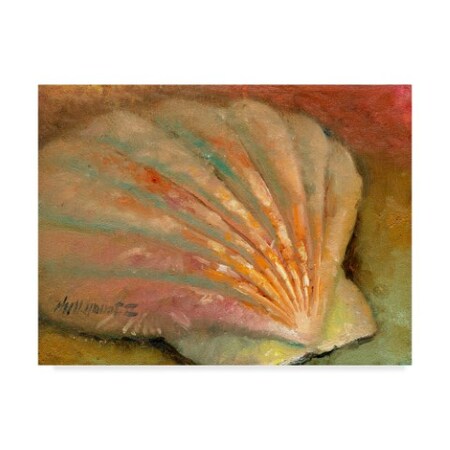 Trademark Fine Art Hall Groat Ii 'Scallop Seashell' Canvas Art, 24x32 ALI35516-C2432GG